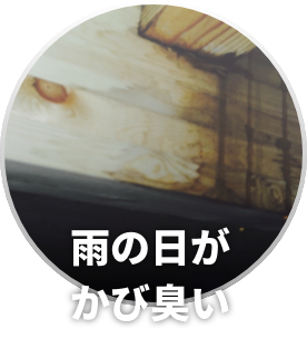雨の日がかび臭い